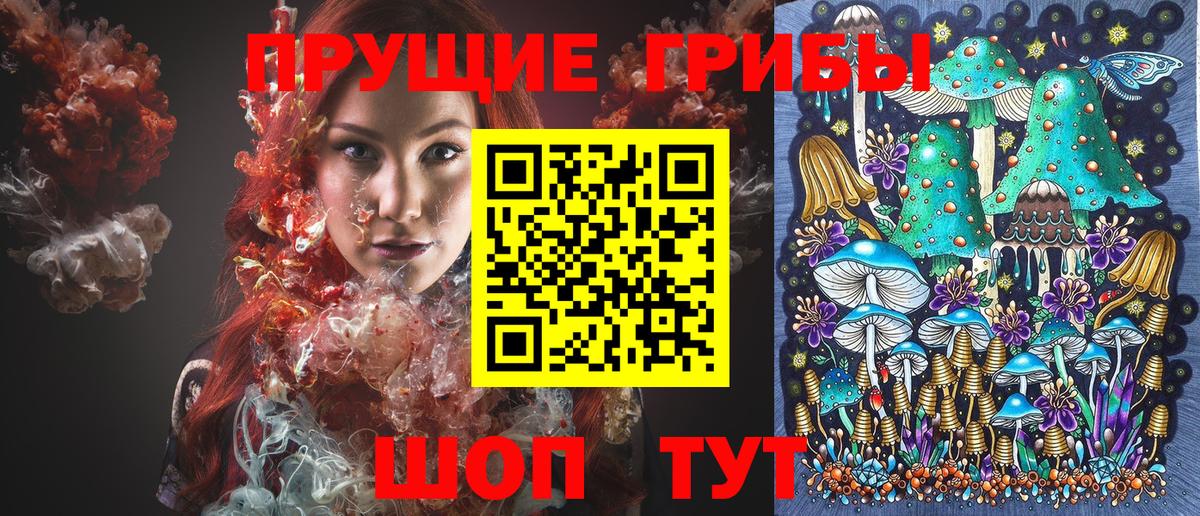 Галлюциногенные грибы Psilocybine cubensis Когалым